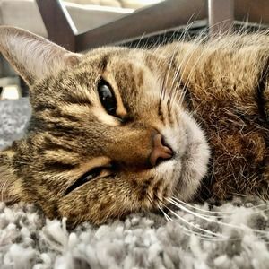 Meet your Posher, Estela